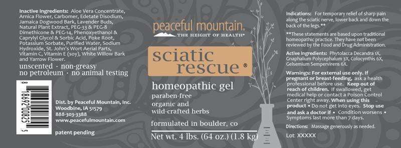 Sciatic Rescue